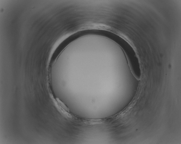 X0000062611152200601111002