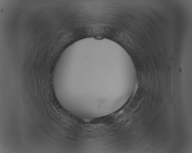 X0000062611153200601111001