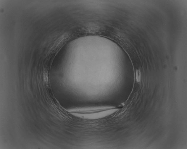 X0000062611155200601111001