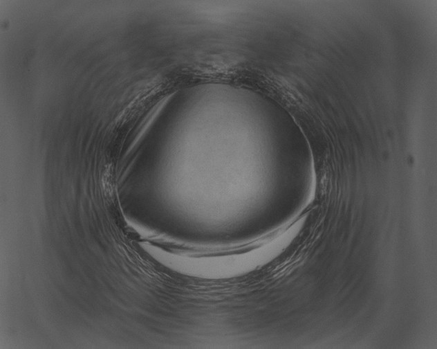 X0000062611156200601111001