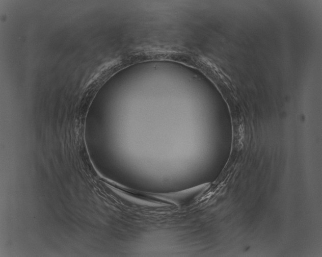 X0000062611157200601111001