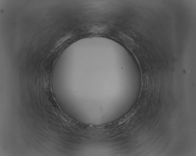 X0000062611158200601111001