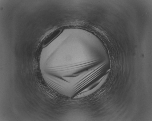 X0000062611160200601111001