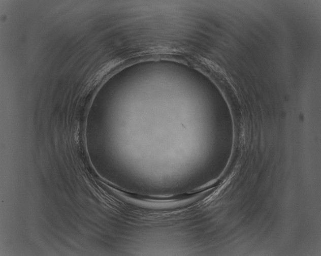 X0000062611161200601111001