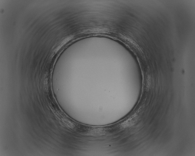 X0000062611162200601111001