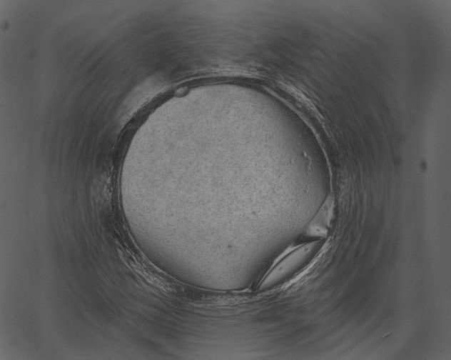 X0000062611163200601111001