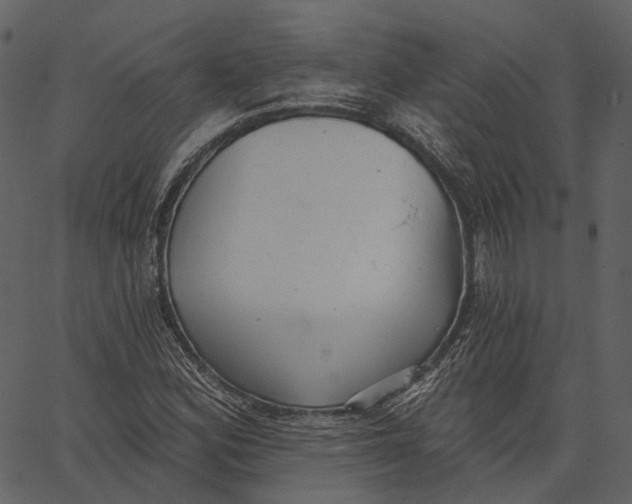 X0000062611164200601111001