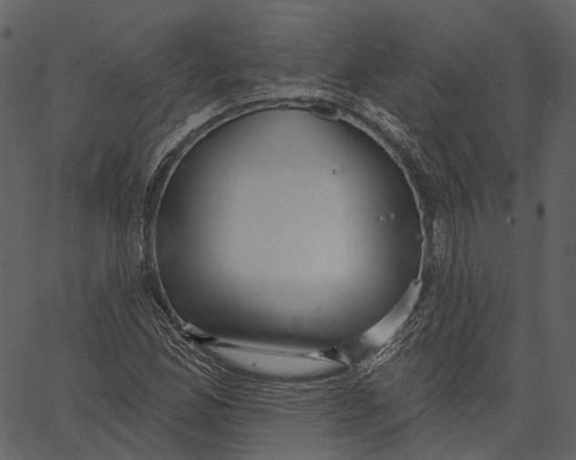 X0000062611165200601111001