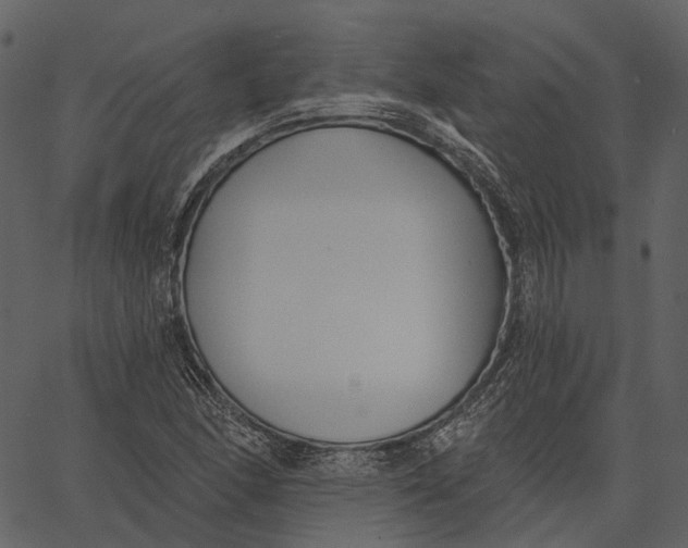 X0000062611166200601111001