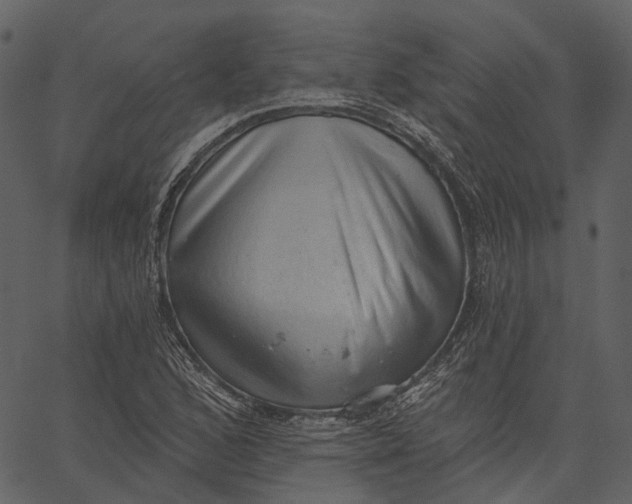 X0000062611168200601111001