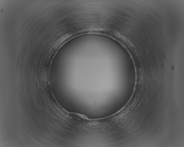 X0000062611169200601111001