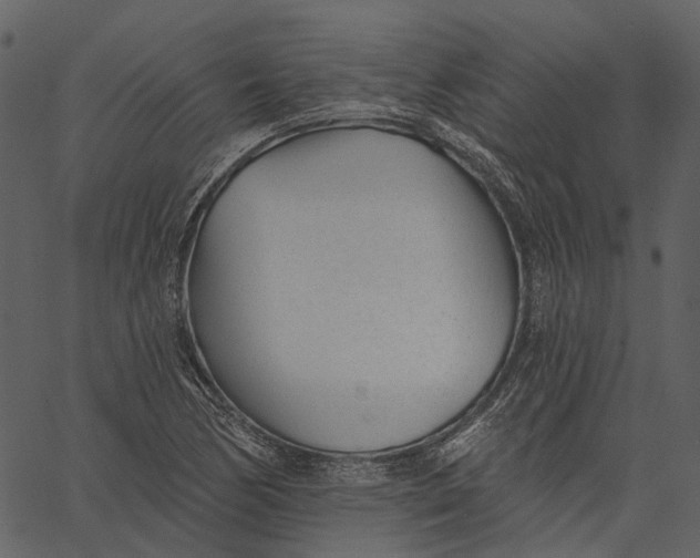 X0000062611170200601111001