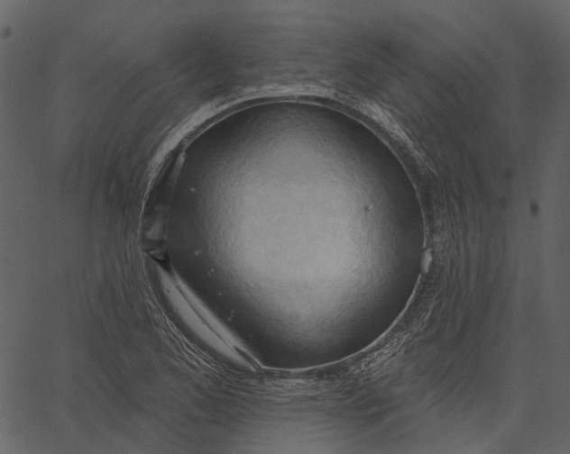 X0000062611173200601111001