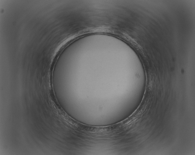 X0000062611174200601111001