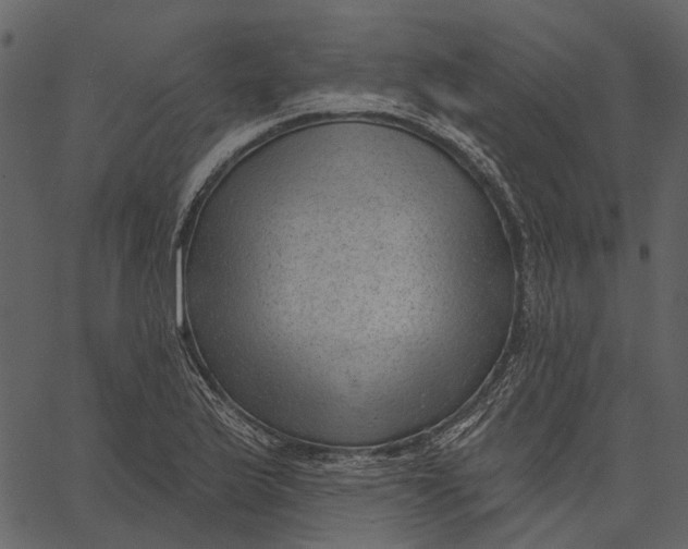 X0000062611175200601111001