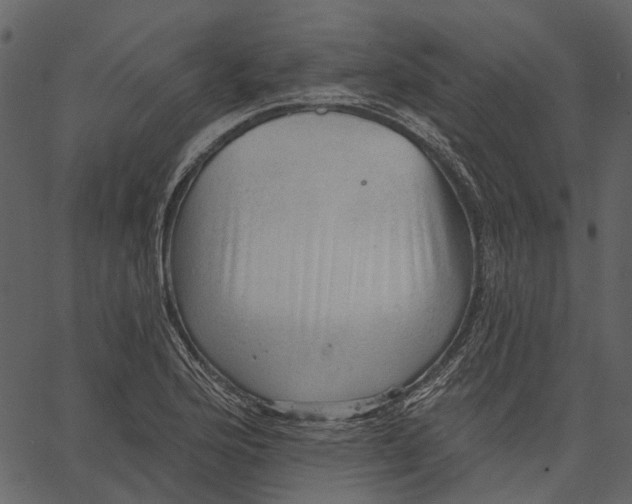 X0000062611176200601111001