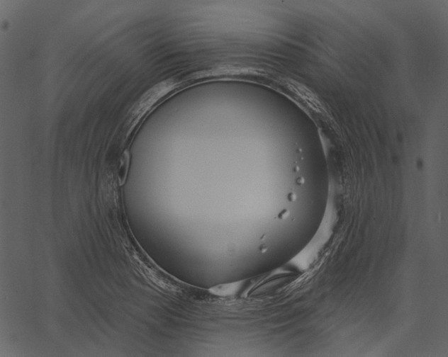 X0000062611177200601111001