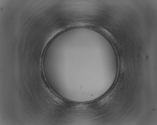 X0000062611178200601111001