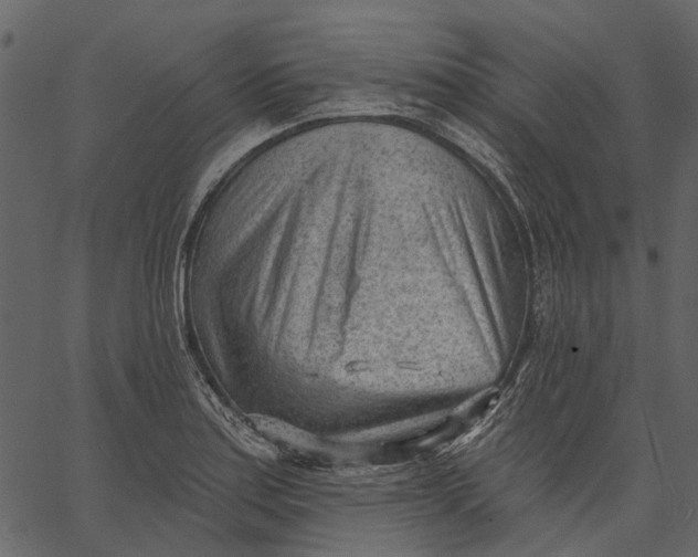 X0000062611179200601111001