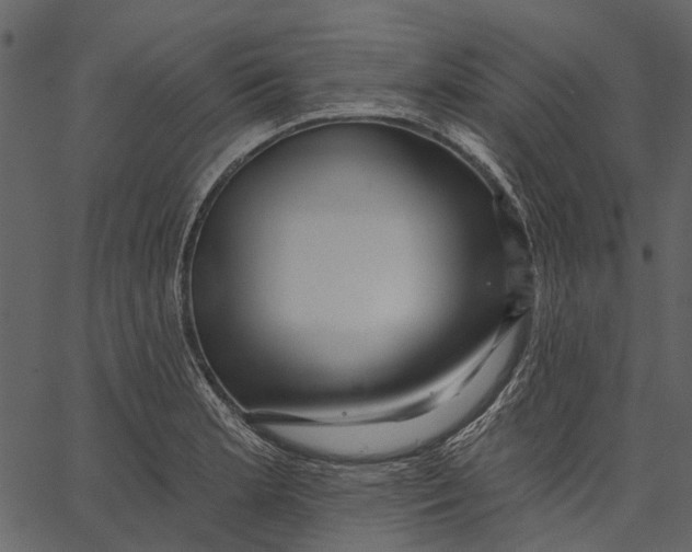 X0000062611181200601111000