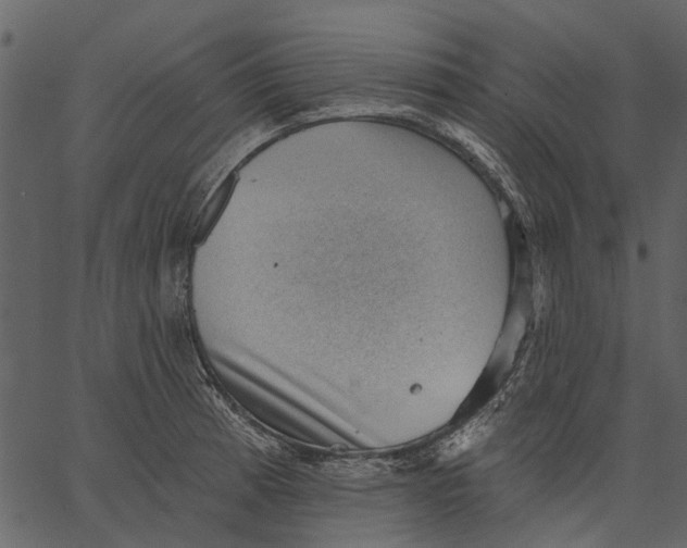 X0000062611185200601111000