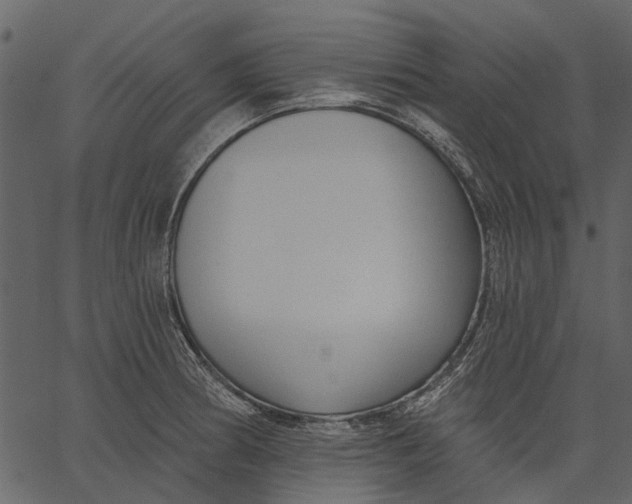 X0000062611186200601111000