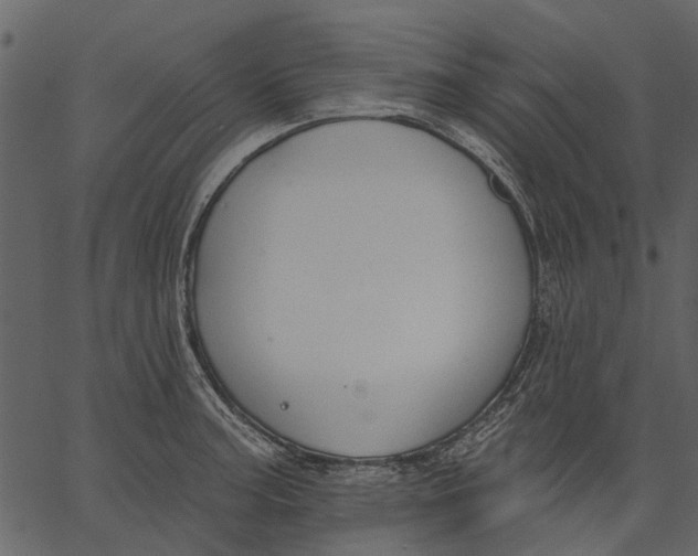 X0000062611187200601111000