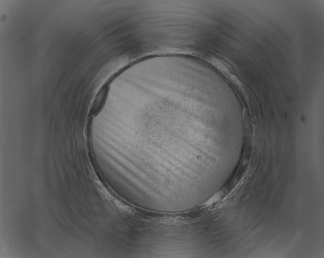 X0000062611189200601111000