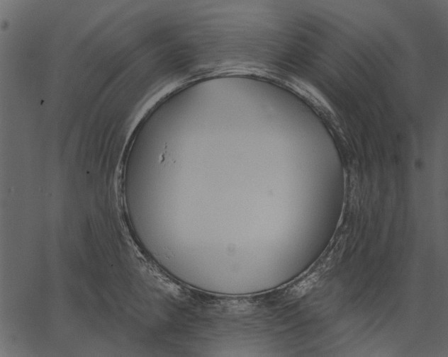 X0000062611190200601111000