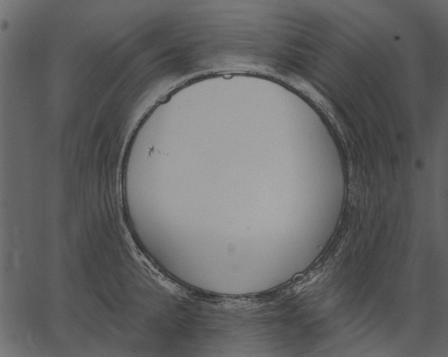 X0000062611191200601111000