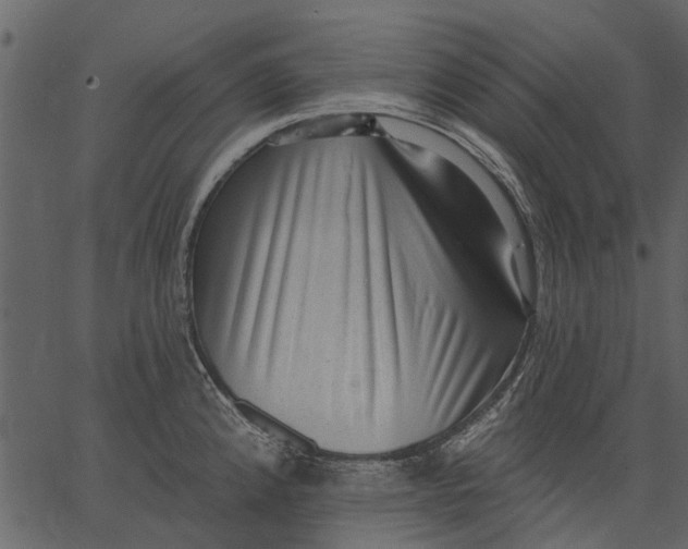 X0000062611192200601111000