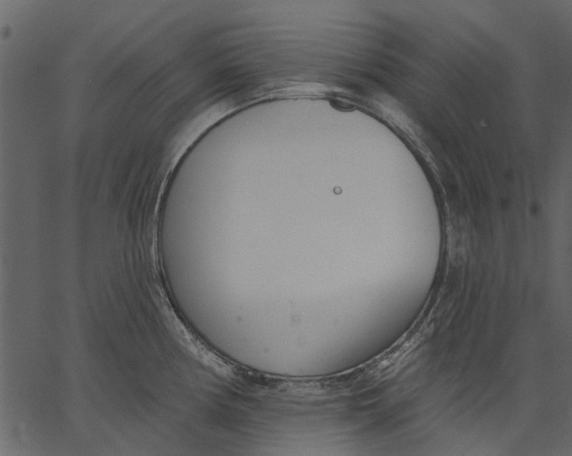 X0000062611194200601111000