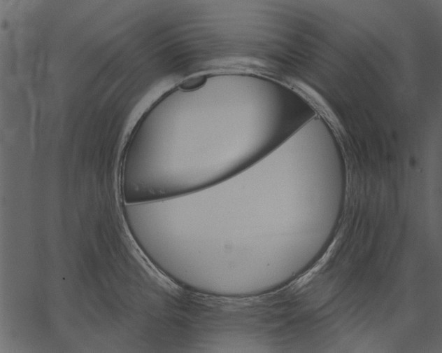 X0000062611196200601111000