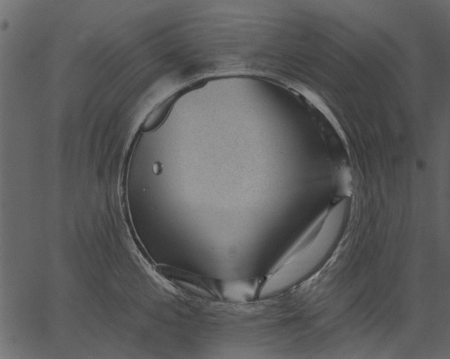 X0000062611197200601111000