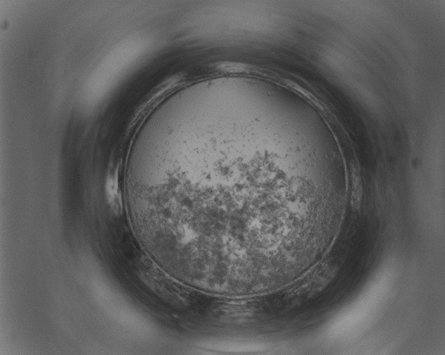 X0000062611198200601111000