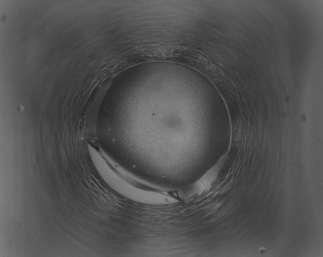 X0000062611202200601110959