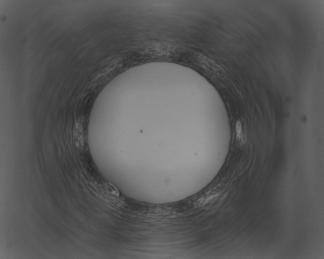 X0000062611203200601110959