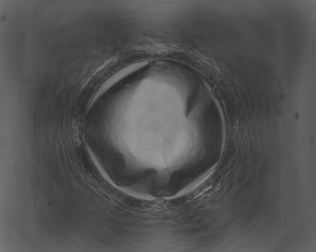 X0000062611205200601110959