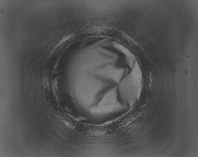 X0000062611206200601110959