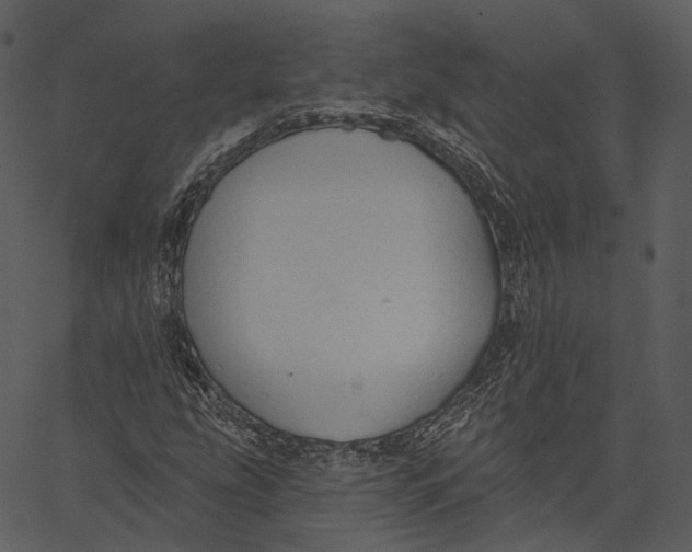 X0000062611207200601110959