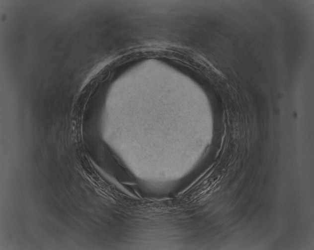 X0000062611208200601110959