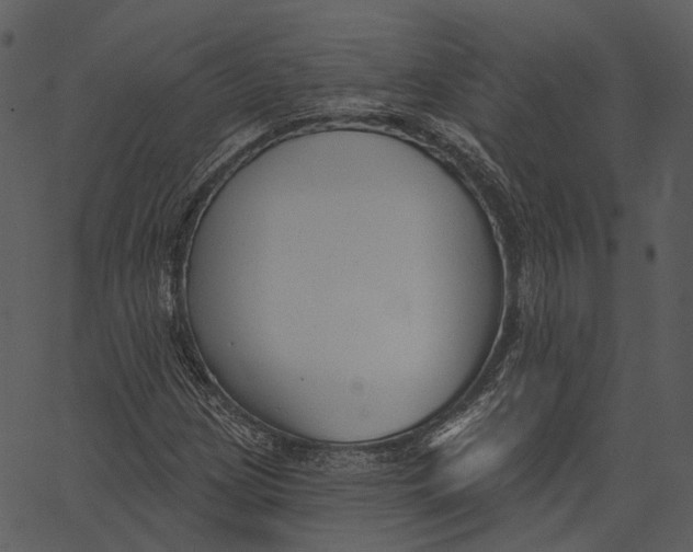 X0000062611209200601110959