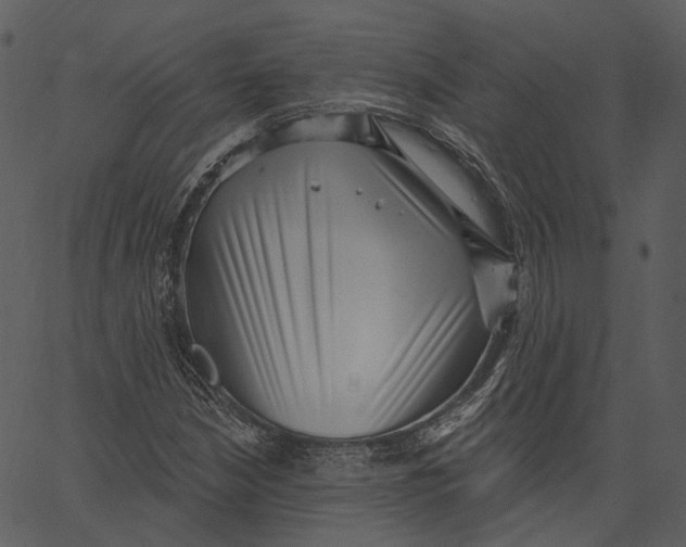 X0000062611210200601111000