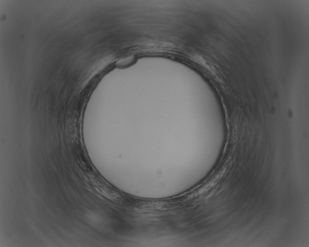 X0000062611211200601111000