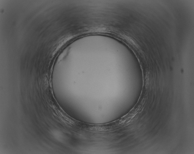 X0000062611212200601111000