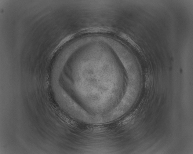 X0000062611213200601111000