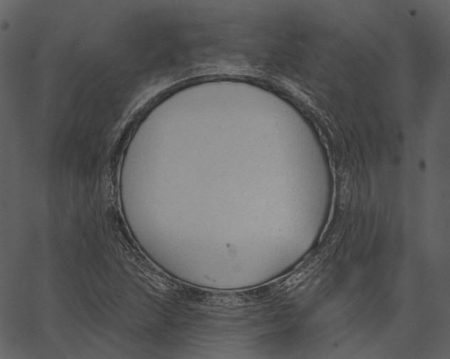 X0000062611215200601111000