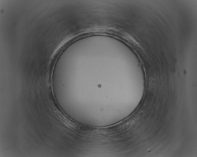 X0000062611216200601111000