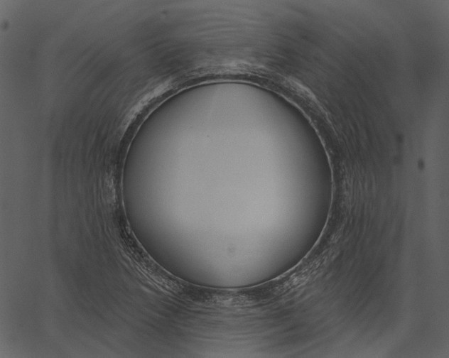 X0000062611218200601111000