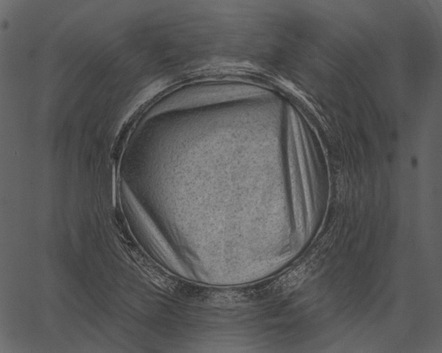 X0000062611219200601111000